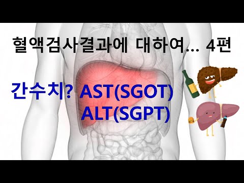 69. 혈액검사결과에 대하여 4편 - 간수치?? AST/ALT(SGOT/SGPT)