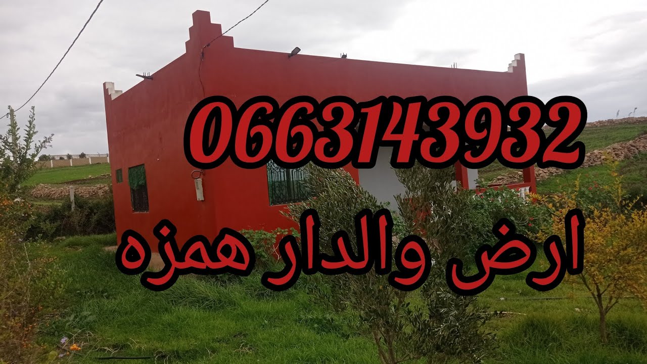 ارض للبيع نواحي الجديدة قيادة اولاد حمدان مساحتها 400 مترو الدار 65 مترو محافظه 0663143932