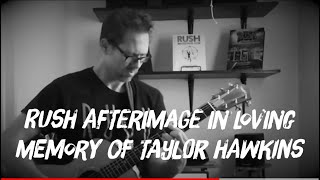 Rush Afterimage Acoustic Cover In Loving Memory Of Taylor Hawkins By Brandon Dyke