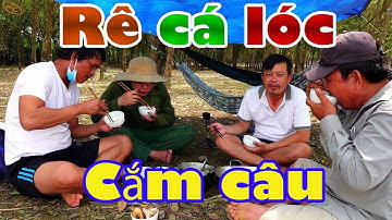 Hành trình săn cá lóc hugo tập 12