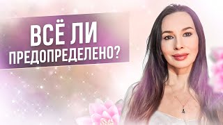 Всё ли предопределено?