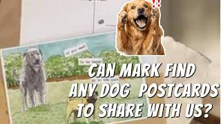 A new Box Opening.  Mark discovers some unusual Dog Postcards. #postcards #unboxing #dogs