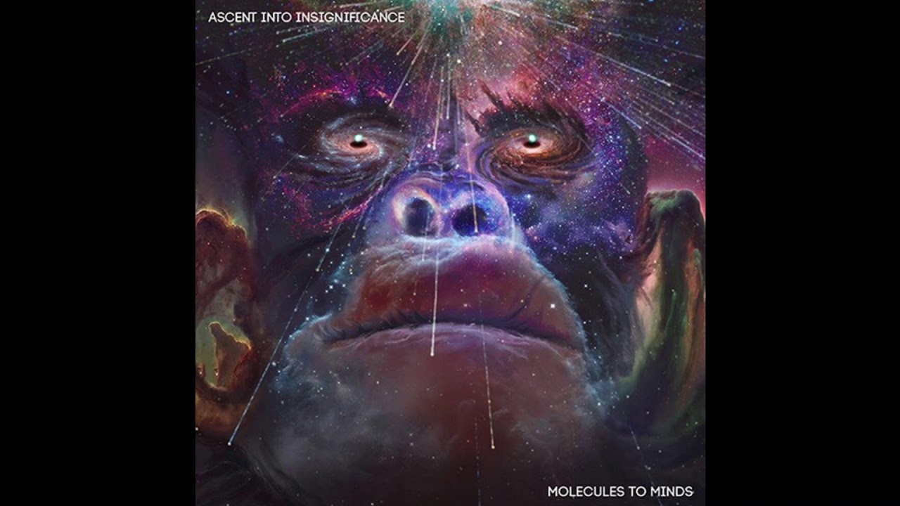 Molecules To Minds - Ascent Into Insignificance [Full Album]