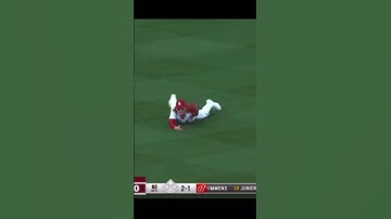 Harrison bader diving play