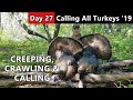 Creeping, Crawling and Calling For Big Gobblers! - Calling All Turkeys