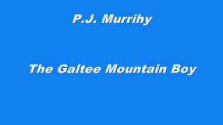 P.J. Murrihy - The Galtee Mountain Boy chords