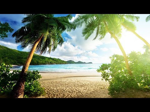 Mandelbarth - Palmtree - Royalty Free Music Download. No Copyright License.