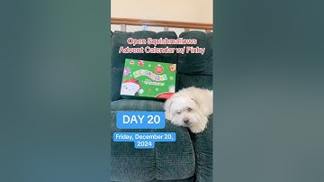 @Squishmallows Advent Calendar: DAY 20! #christmas #squishmallows #advent #unboxing #funnydogs