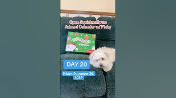 @Squishmallows Advent Calendar: DAY 20! #christmas #squishmallows #advent #unboxing #funnydogs
