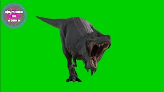 Тираннозавр На Зеленом Фоне Футаж