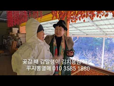 곶감은 씻어 먹지 않기 때문에 꼭 <strong>몰약</strong> 사포닌 시설이 가득한 무유황 자연건조 산꼭대기 집