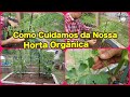 Como Cuidamos da Nossa Horta Orgânica / How we care for our organic vegetable garden