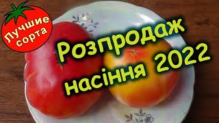 Розпродаж насіння помідорів 2022