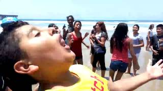 Harvard Harlem Shake