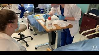 In-Lab Activities - Practical Nurse