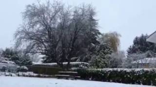 First Snow (Time-Lapse)