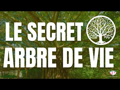 Vidéo: Yggdrasil Tree (Arbre de Vie): description, signification