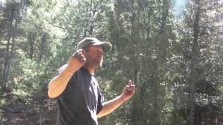 EL WERO DE SAN JULIAN