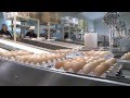 Poultry Farm Egg Production Business - Business For Sale, Gippsland, Victoria; Australia