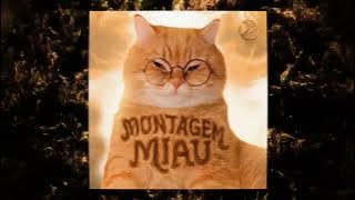 MONTAGEM MIAU (TikTok version)