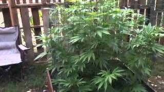 Ommp outdoor update