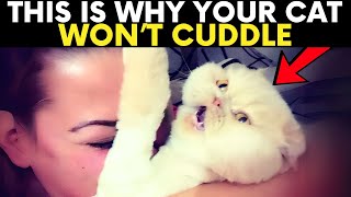 If Your Cat Refuses to Cuddle, They’re Trying to Tell You THIS...