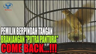 PEMILIK BERPINDAH TANGAN, BRANJANGAN JAVA "PUTRA PANTURA" COME BACK BERPRESTASI..!!!