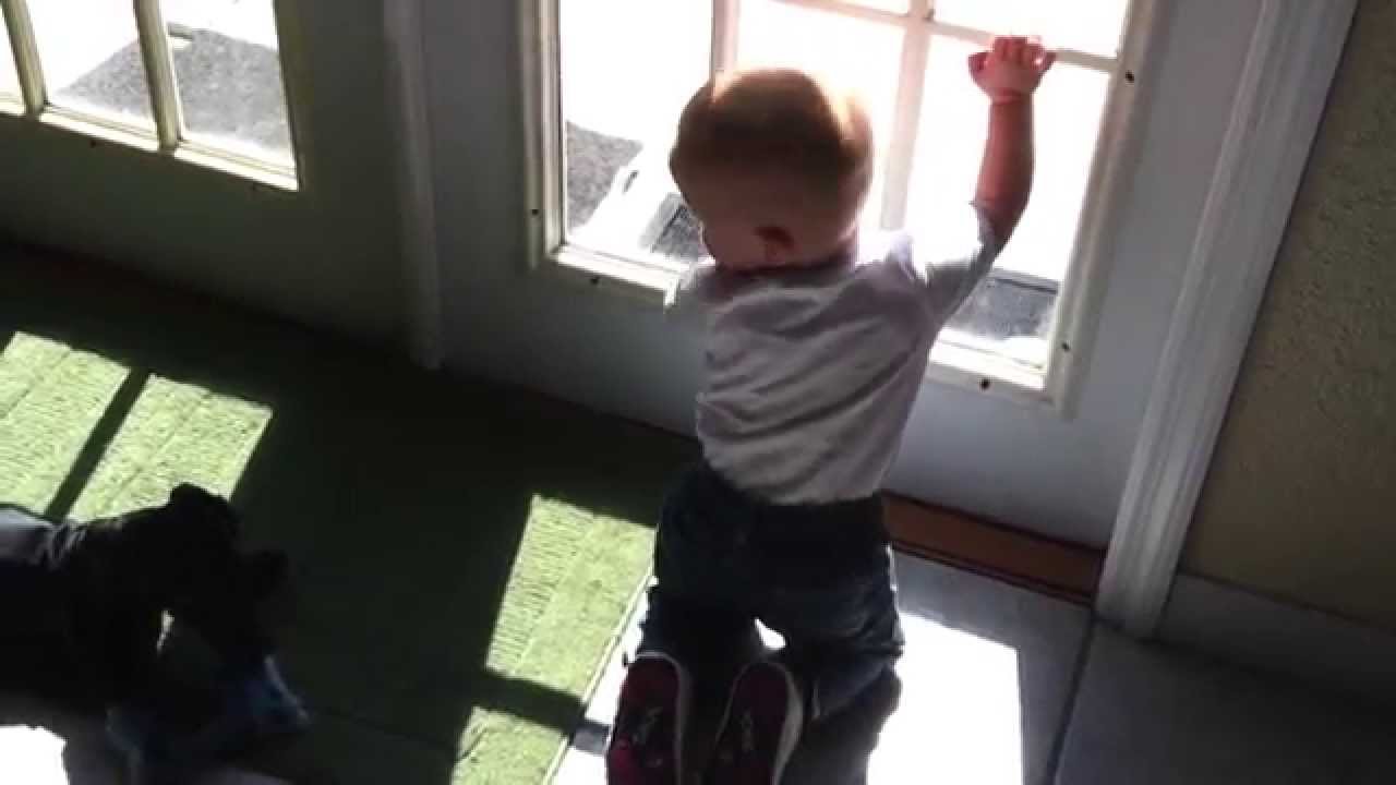 Doxie and Baby teasing each other