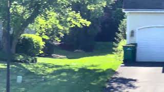 IMG 4365