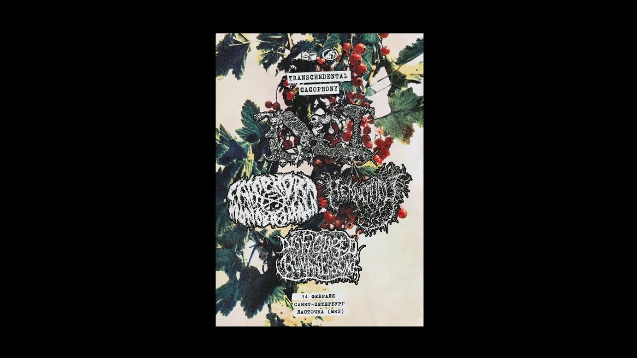 Некроспора * live at Ласточка * 14.02.2026 * TRANSCENDENTAL CACOPHONY