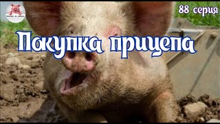 видео: Миллион на свиньях.Покупка прицепа.Корм поросят после отлучки от свиноматки. картинка: Миллион на свиньях.Покупка прицепа.Корм поросят после отлучки от свиноматки.