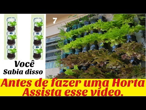 O melhor video de horta em garrafa pet!!! Venha assistir