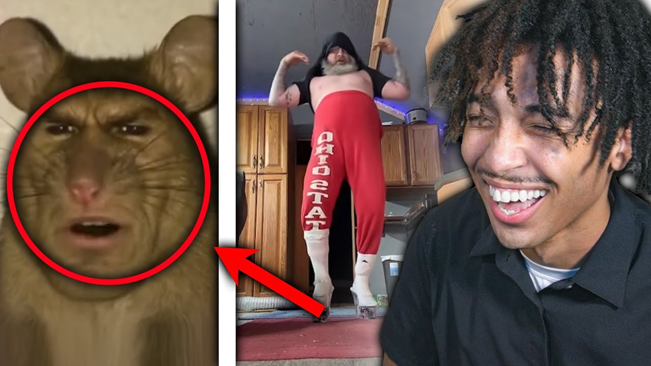 Reacting to The MOST INSANE TIKTOKS…