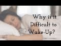 Episode 367 - Why is it Difficult for Some People to Wake Up in the Morning