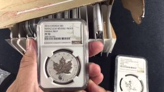 NGC Grading: PF70 Panda Privy, 90% Mercury Dimes, and 1/4 Eagle