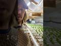 Good night, don’t let the bugs bite! #hydroponic #farming