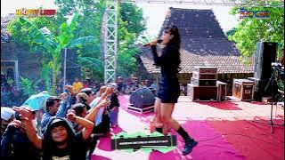 HAPPY LOSS - SINGKONG KEJU - ICHA FEBRIANA - HAPPY PARTY PEMUDA BOMBONG LAW'RAN - SUKOLILO PATI