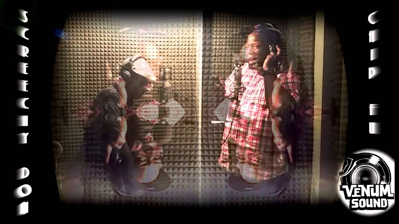 SCREECHY DAN & CHIP FU dubplate {Venum Sound} @ dainjamentalz u$a 4