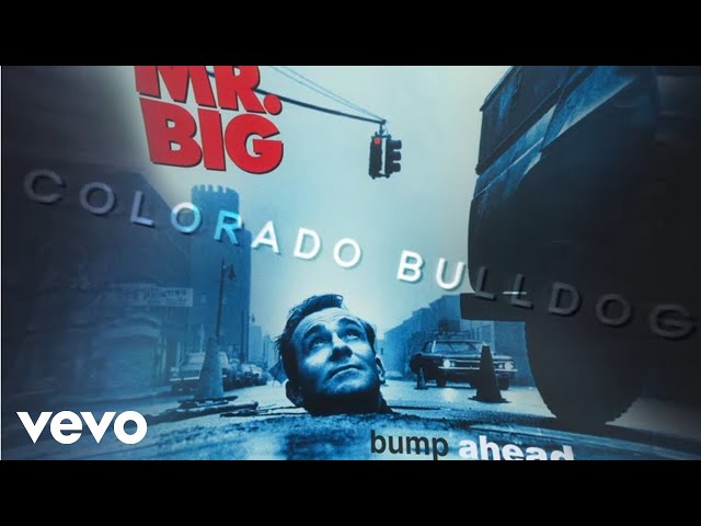 Mr. Big - Colorado Bulldog