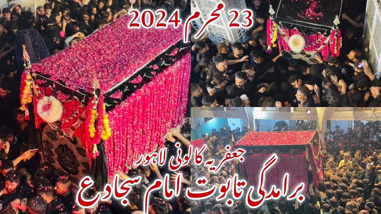 23 muharram jaffaria colony 2024 | baramdagi taboot imam sajjad a.s | jaffaria colony lahore |