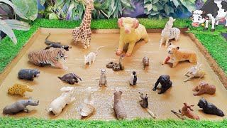 Discovering Farm and Safari Animals Mud Rescue Mission for Toddlers 🐰🐧🐍