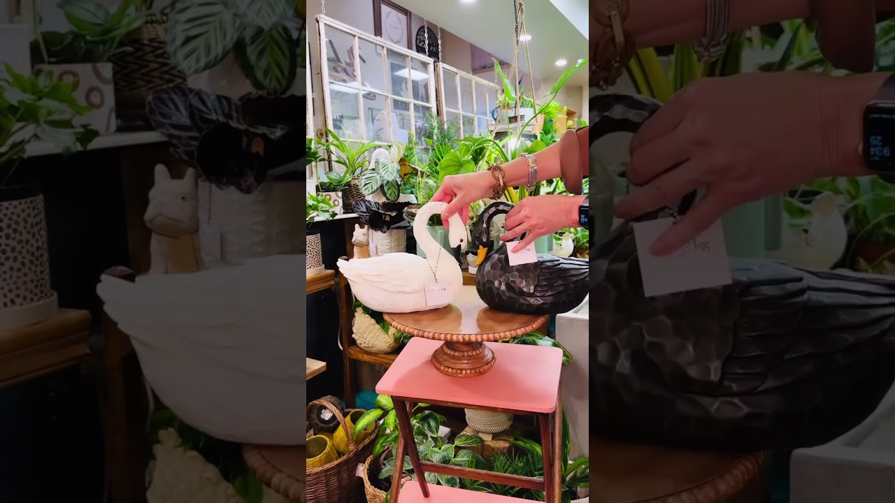 🦢 Swan decor is a Lakelander Must-Have! 