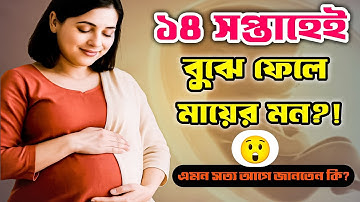 গর্ভাবস্থার ১৪তম সপ্তাহে কীভাবে মা-শিশুর সম্পর্ক গড়ে ওঠে? জানলে কেঁদে ফেলবেন!