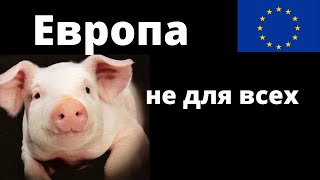 Чужие среди чужих: Европа не для всех? Кому здесь мешает моё свиное рыло