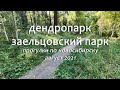 Из Дендропарка в Заельцовский (25 августа 2021)