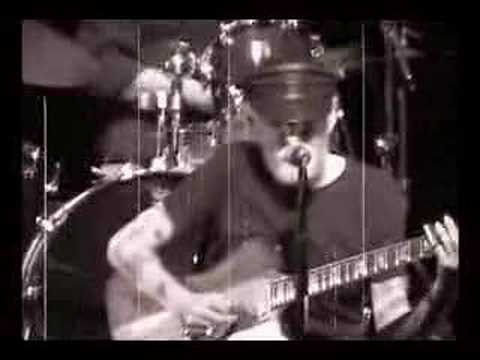 johnny winter video johnny winter video