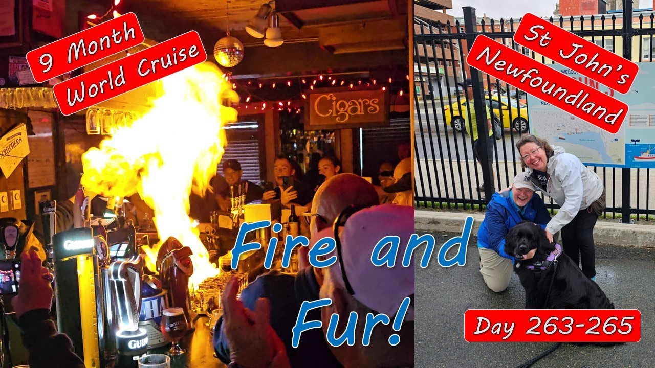 St. John’s Newfoundland Furry Friends and Screeched-In Ceremony