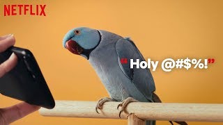 Bird Box | Birds Review Bird Box | Netflix Bird Box | Birds Review Bird Box | Netflix