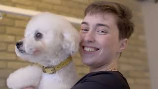 Doggy Styling Weybridge - The Ultimate Dog Grooming Experience