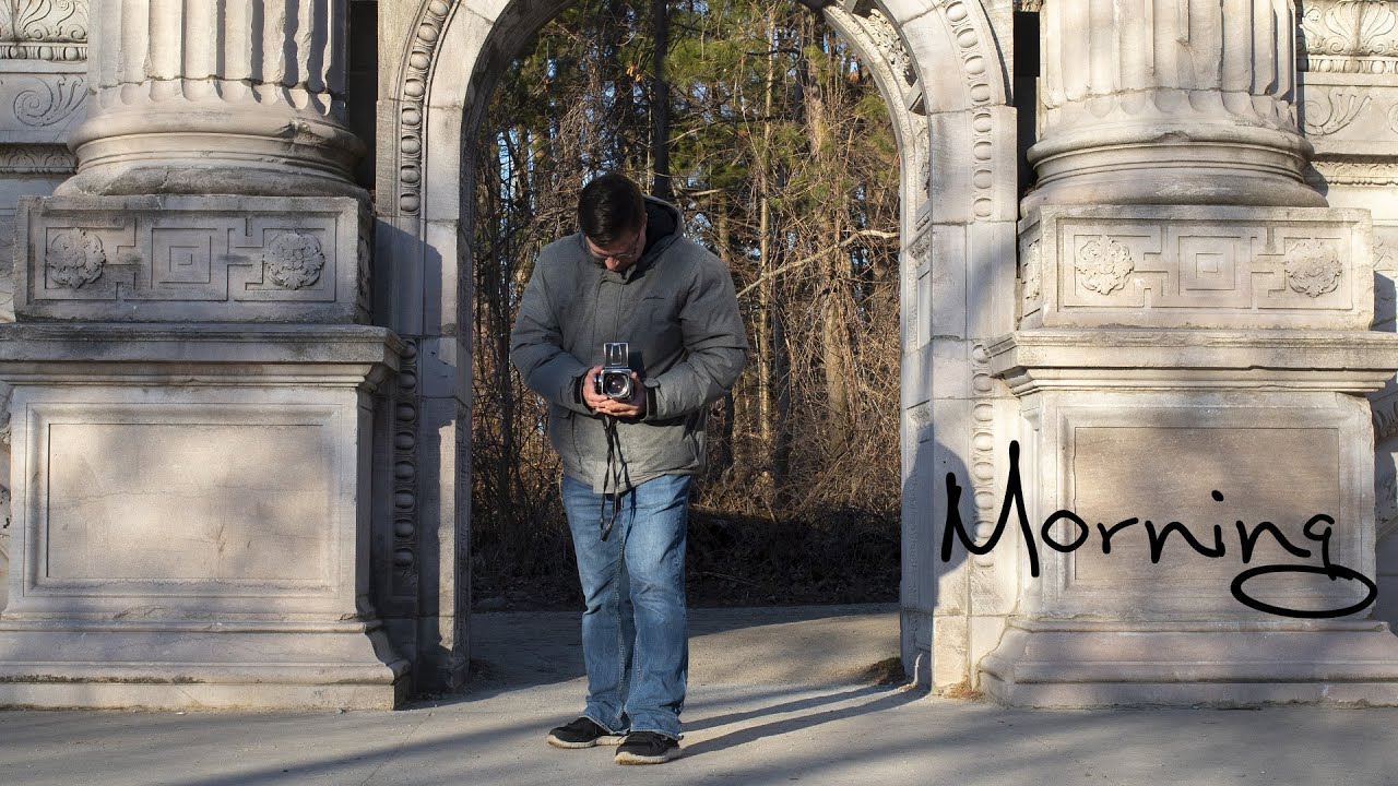 Morning | The Guildwood